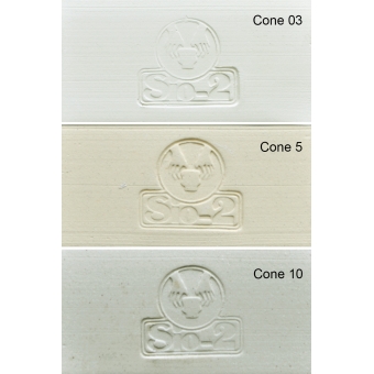 SIO-2® PRAI - White Stoneware Clay with Impalpable Grog, 27.6 lb